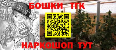 стаф Краснодар