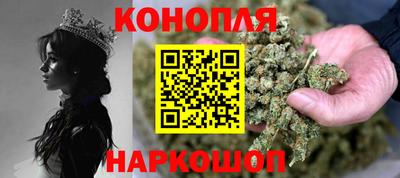 Альфа ПВП Краснознаменск
