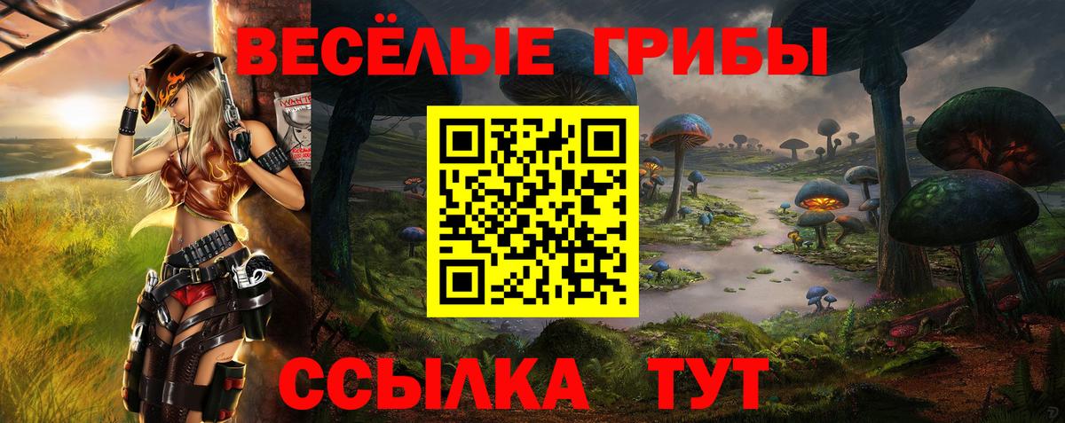 Псилоцибиновые грибы Psilocybe Костомукша