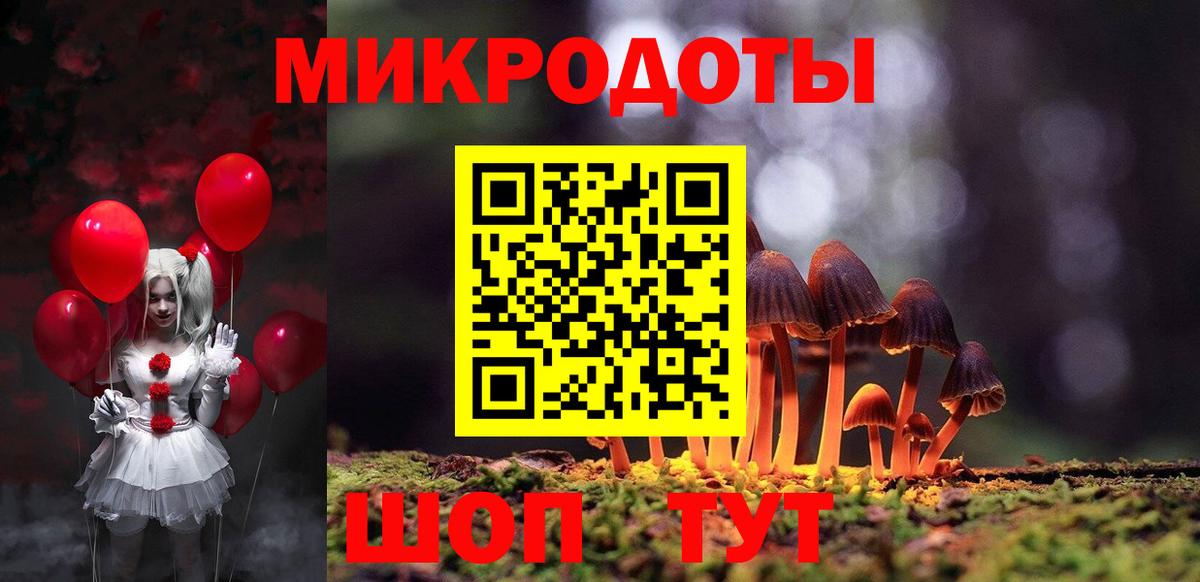 Костомукша  Галлюциногенные грибы Psilocybe  Вход с VPN  Псилоцибиновые грибы мицелий 